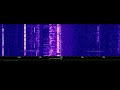 UKR RUS Radio War 7055 kHz 3 1 2022