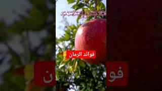 فوائد الرمان | شئ عجيب يحدث لجسمك بعد تناول الرمان