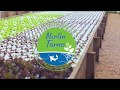 Merlin Aquaponics Farms UAE