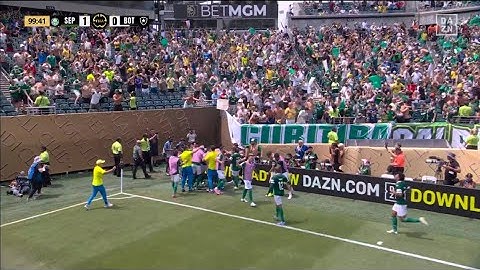 Tarjeta roja Gustavo Gómez, Palmeiras vs Botafogo (1-0) Todos los goles y resumen ampliado