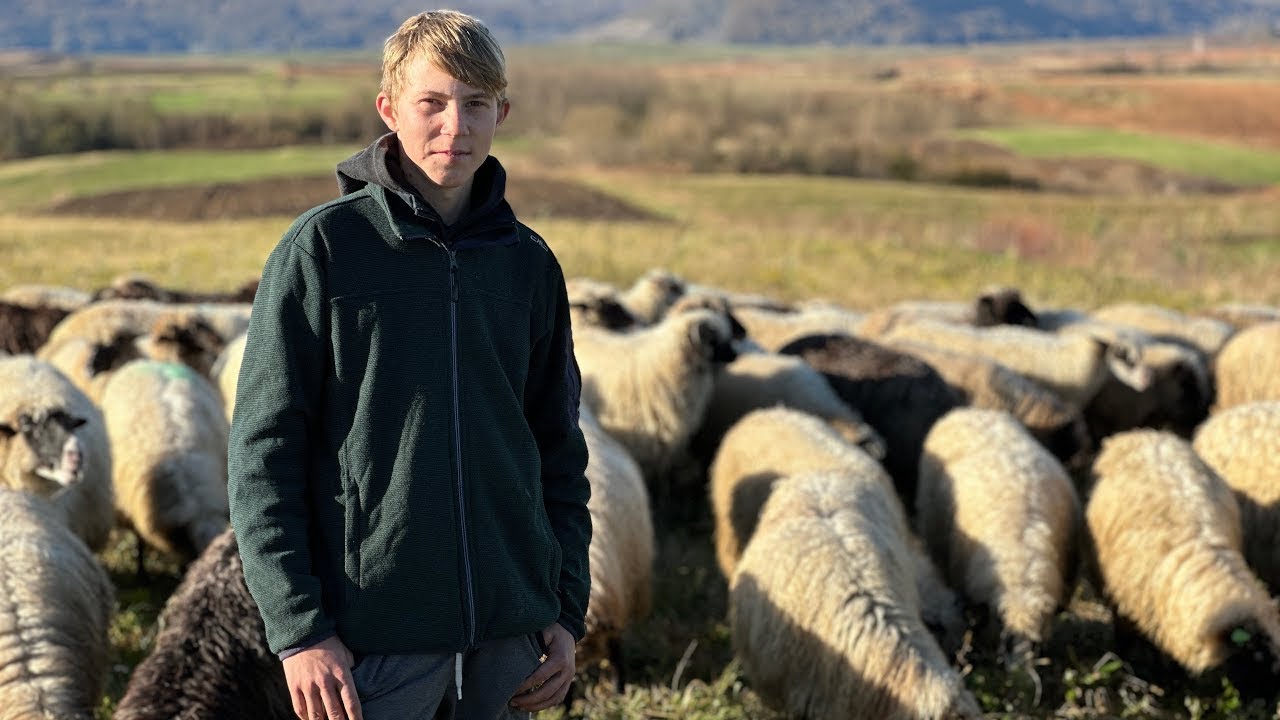 On ima samo 16 godina, ali zato je vlasnik 150 ovaca