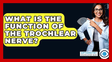 What Is The Function Of The Trochlear Nerve? - Optometry Knowledge Base