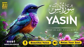 Relaxing Surah Yasin for Sleep, Depression, & Anxiety ✦ Surah Yaseen سورة يس ✦ Lofi Quran