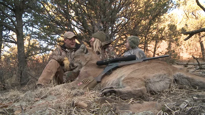 Huge mountain lion taken without dogs on elk kill