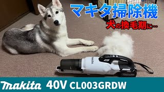 40Vマキタ 掃除機！超強力吸引力でペットの毛に挑む！車内、ガレージの掃除にも makita CL003GRDW &amp; カーペットノズル