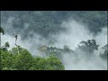 Taman Nasional Bukit Tiga Puluh - surga yang tersisa di tengah pulau sumatera