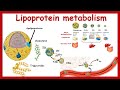 Lipoprotein metabolism and transport | Chilomicron, VLDL,IDL, LDL,HDL