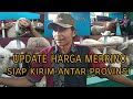 UPDATE HARGA CEMPE MERINO 2021||Domba Emas Farm