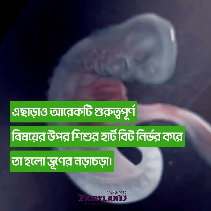 Can you tell if the baby is a boy or a girl by looking at the baby's heartbeat in the womb?