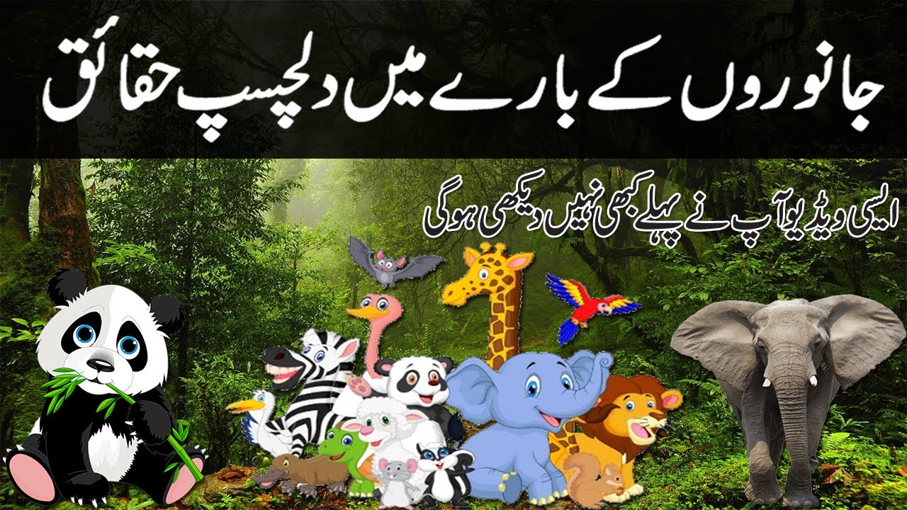 Top 10 Facts About Animals In Urdu Hindi - YouTube