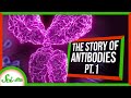 Prelude to a Revolution | Antibodies Series Part 1