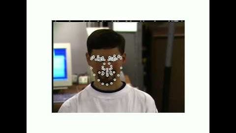 Results Video : Regression Based Automatic Face Annotation