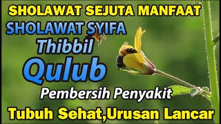 Sholawat Nabi Merdu | Thibbil Qulub | Sholawat Syifa I Pembuka Pintu Rezek I Sholawat Penyembuh