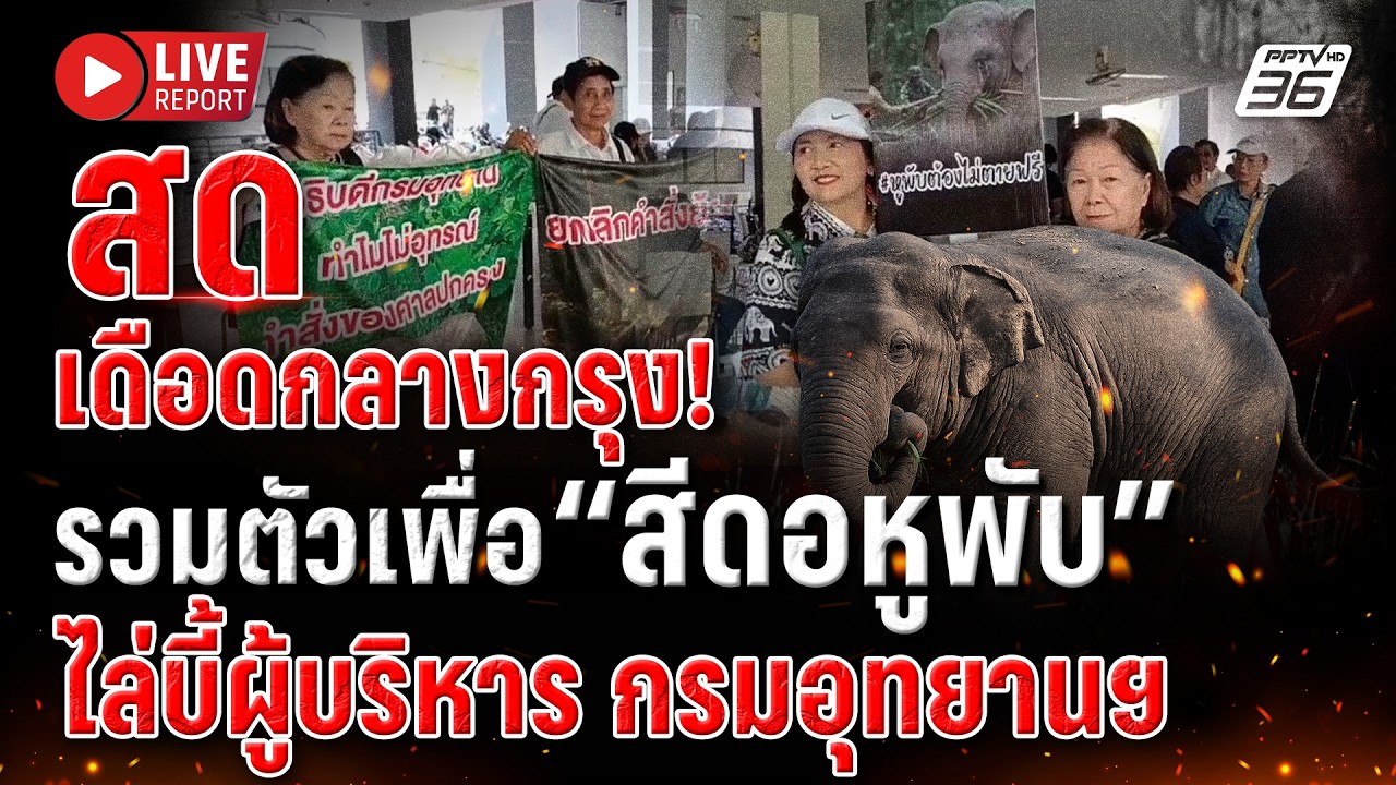 🔴LIVE :เดือด! นัดรวมพลหมื่นคนทวงความยุติธรรม“สีดอหูพับ”จี้อธิบดีอุทยานฯลาออก |Live report|23 ก.พ. 69