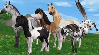 All The Black Friday Horse SALE in Star Stable Online