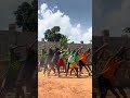 TODO MUNDO CONVIDADO PARA OS 40 ANOS DA HAVAN!