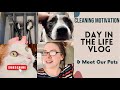 DAY IN THE LIFE WITH TWO TODDLERS // MEET OUR PETS // SPRING CLEANING MOTIVATION // REAL LIFE VLOG