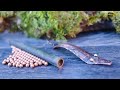 The Pry-Bait Lure DIY: Copper and Steel Combo for Fishing