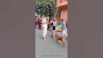 Jai shree krishna bolo jay radhe 🦚 #shorts #harekrishna #radhe #krishna #iskcon #krishnabhajan