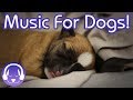 NEW! The BEST Relaxing Music for Dogs! The Ultimate Chillout Music for Dogs!