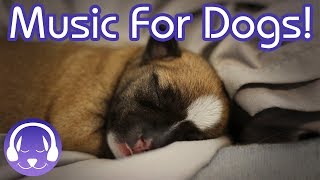 NEW! The BEST Relaxing Music for Dogs! The Ultimate Chillout Music for Dogs!