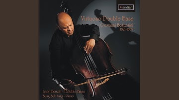 Thumbnail of Capriccio di Bravura