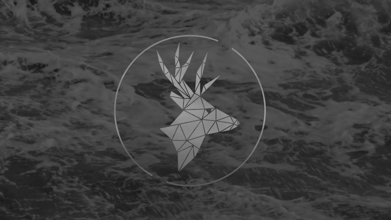Watch Settle Down - Common Deer on YouTube Watch Settle Down - Common Deer on YouTube