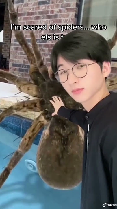 Who else is scared of spiders? #shorts #viral #funny #jumpscare