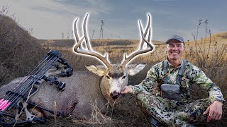 Public Land SPOT & STALK Mule Deer (with the BOW!)