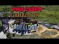 May king cobra sa gabaldon
