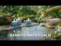 Gentle Bamboo Water Flow &amp; Peaceful Garden Ambience for Relaxation, Calm Mind &amp; Stress Relief 🌿