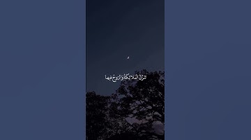 سورة القدر بصوت جميل جدا