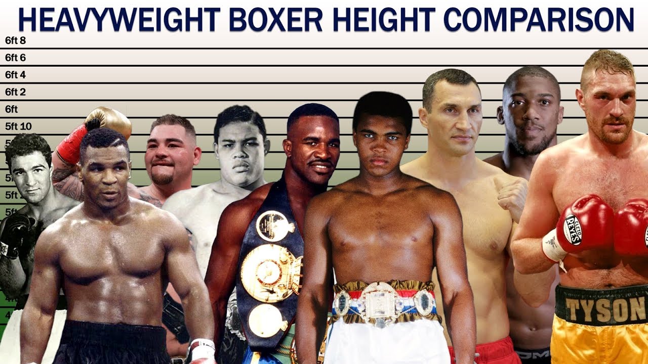 Heavyweight Boxers Height Comparison - YouTube