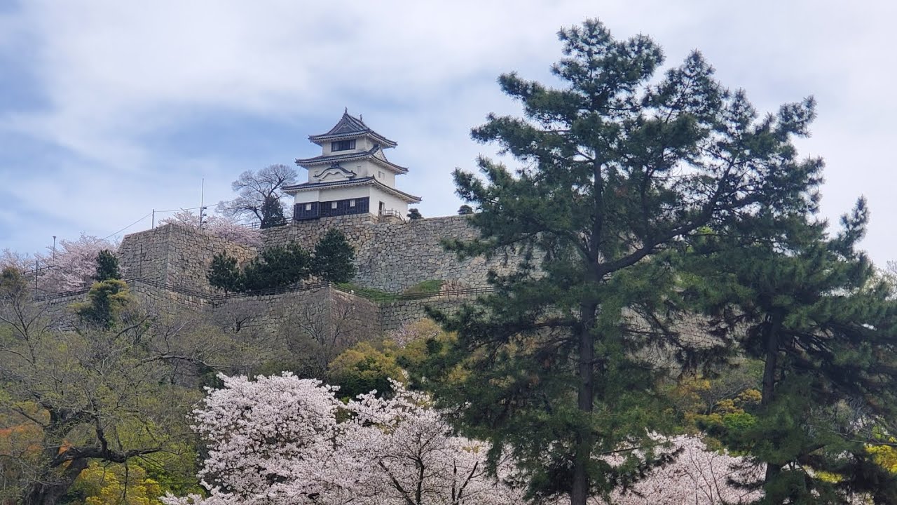 Japan s Tallest Castle With Stone Walls Marugame Castle Japan s Tallest Castle With Stone Walls Marugame Castle