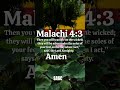 Today's Bible Verse 📖 | SAGC | #shorts #short #youtubeshorts #jesus #viral #trending