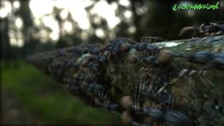 Ants in Forest 3D animation - LightWave 11.5 Instance