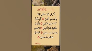 سورة الفيل #قران_كريم #راحة_نفسية #سورة_الفيل