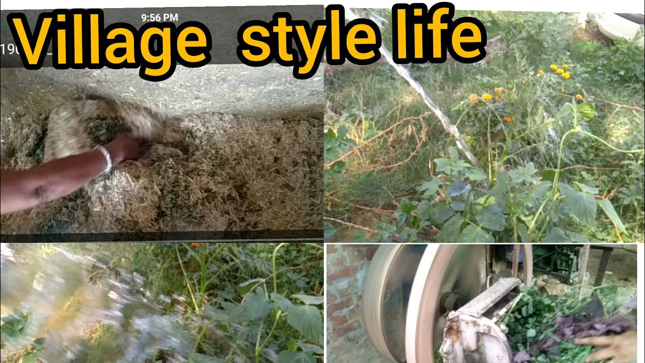 recipes for pork chops INDIAN VILLAGE STYLE LIFE // meri mummy kaise rehti h//mayka_vlog_3