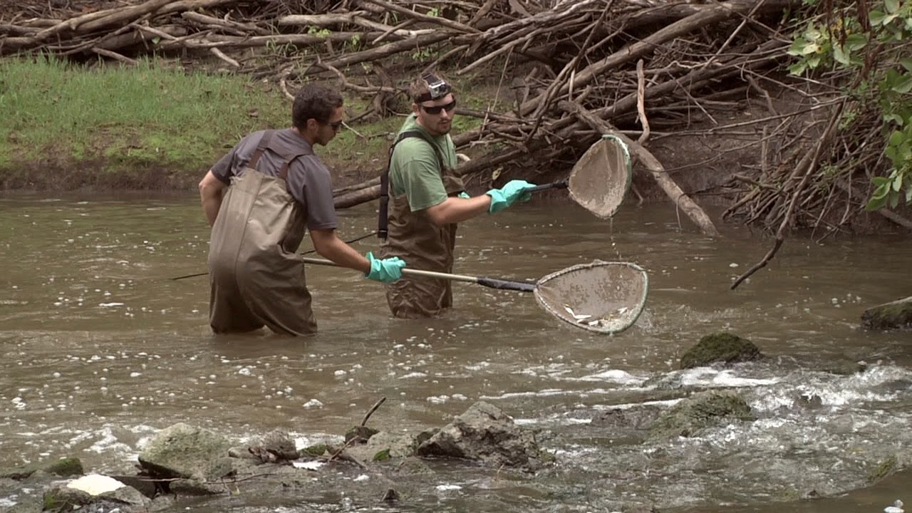 Water quality sampling at Bad Creek with Director Butler YouTube