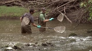 Water quality sampling at Bad Creek with Director Butler Net Worth