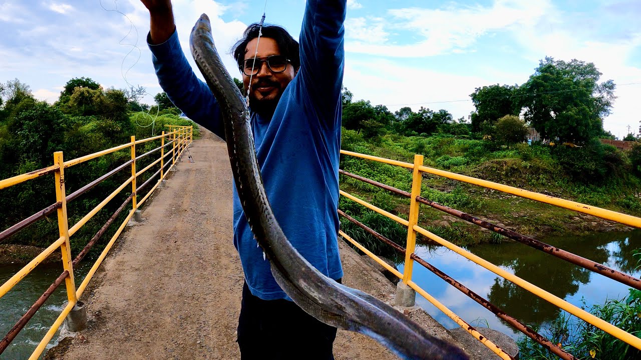 Amazing BAAM Fish Hunting -