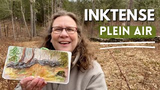 Inktense Magic: Painting the landscape intuitively with water pencils