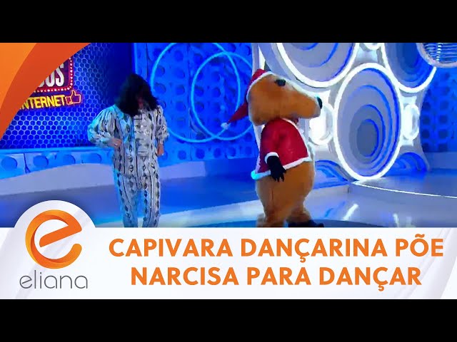 Capivara dançarina coloca Narcisa pra dançar com ela | Programa Eliana (05/05/24)