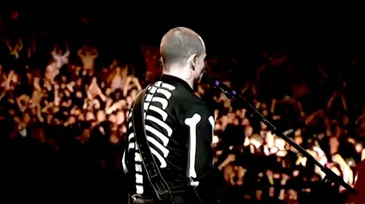 Red Hot Chili Peppers - Can't Stop - Live at Slane...