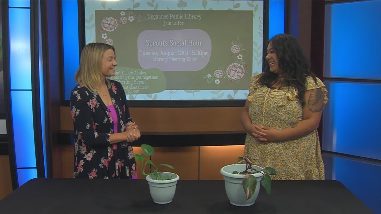 Plant Daddy Ashley Discusses Sprout Social Hour At Negaunee Public Library