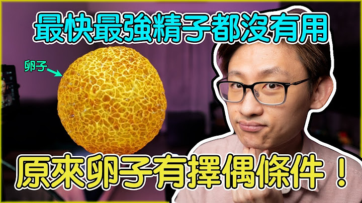 原來卵子也有擇偶條件！最快最強的精子也沒用，受孕成功要看卵子的臉色。卵子的受精過程和症狀。 - 天天要聞