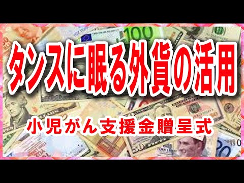 Videoタンス外貨