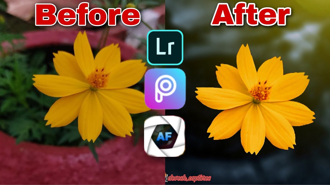 SNAPSEED+LIGHTGROOM+PICART Flower background editing+ enhancement YouTube