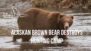 Brown Bear DESTROYS Camp