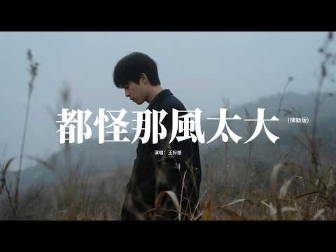 王好想 - 都怪那風太大 (律動版)『做戀人太勉強，做朋友不坦蕩。』【動態歌詞MV】